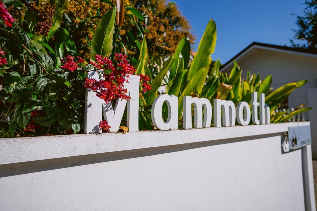 Mammoth Boutique Hotel Chiang Mai Zewnętrze zdjęcie